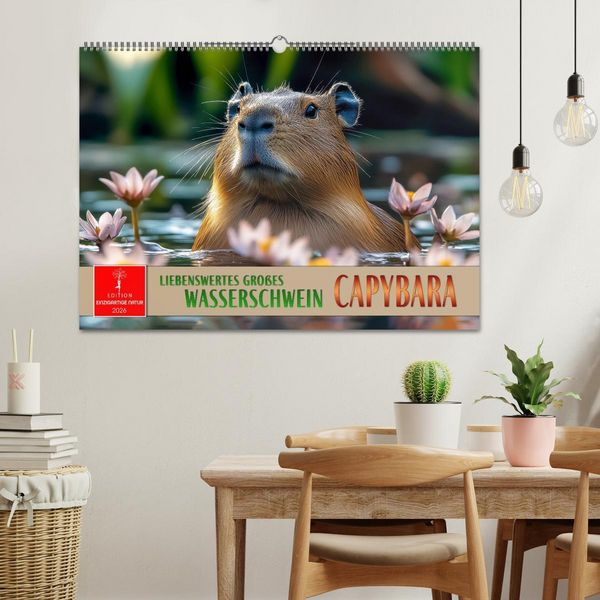 Produktbild: Capybara - liebenswertes gro&szlig;es Wasserschwein (Wandkalender 2026 DIN A2 quer), CALVENDO Monatskalender