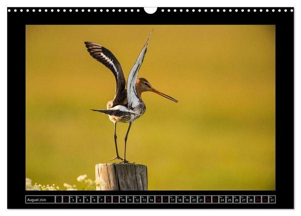 Produktbild: Niederrheinische Vogelwelt (Wandkalender 2026 DIN A3 quer), CALVENDO Monatskalender