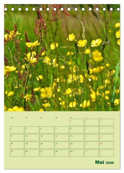 Produktbild: Wald- und Wiesenkalender 2026 Planer (Tischkalender 2026 DIN A5 hoch), CALVENDO Monatskalender