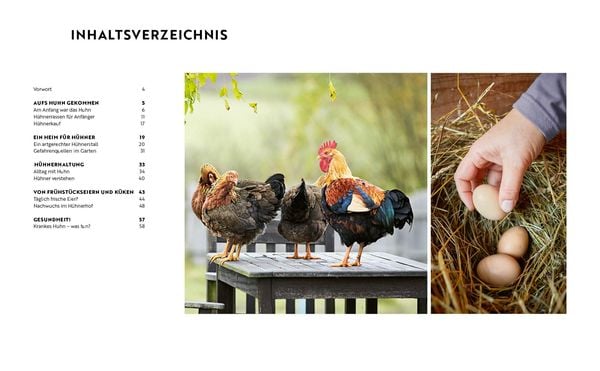 Produktbild: Gartenmomente: H&uuml;hner