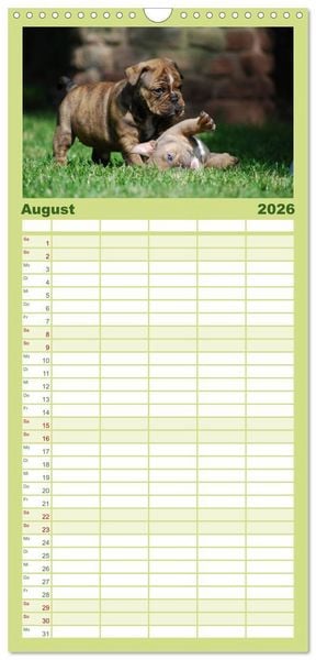 Produktbild: Familienplaner 2026 - Bulldoggen-Kinder mit 5 Spalten (Wandkalender, 21 x 45 cm) CALVENDO