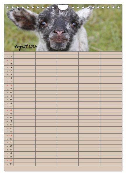 Produktbild: Der bel&auml;mmerte Familienplaner (Wandkalender 2026 DIN A4 hoch), CALVENDO Monatskalender