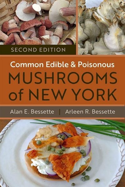 Produktbild: Common Edible and Poisonous Mushrooms of New York