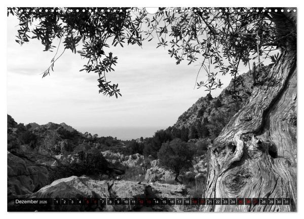 Produktbild: Mallorca monochrom (Wandkalender 2026 DIN A3 quer), CALVENDO Monatskalender
