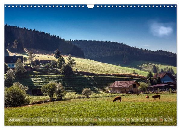 Produktbild: Schwarzwald (Wandkalender 2026 DIN A3 quer), CALVENDO Monatskalender