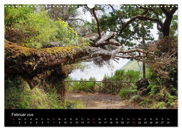 Produktbild: Madeira die Gr&uuml;ne Insel (Wandkalender 2026 DIN A3 quer), CALVENDO Monatskalender