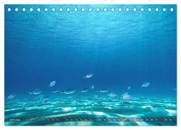Produktbild: Sardinien - Karibik des Mittelmeers (Tischkalender 2026 DIN A5 quer), CALVENDO Monatskalender