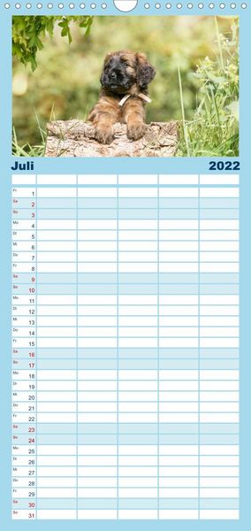 Produktbild: Briardbabys in ihren ersten Wochen - Familienplaner hoch (Wandkalender 2022 , 21 cm x 45 cm, hoch)