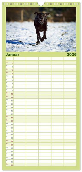 Produktbild: Familienplaner 2026 - Labrador Retriever mit 5 Spalten (Wandkalender, 21 x 45 cm) CALVENDO