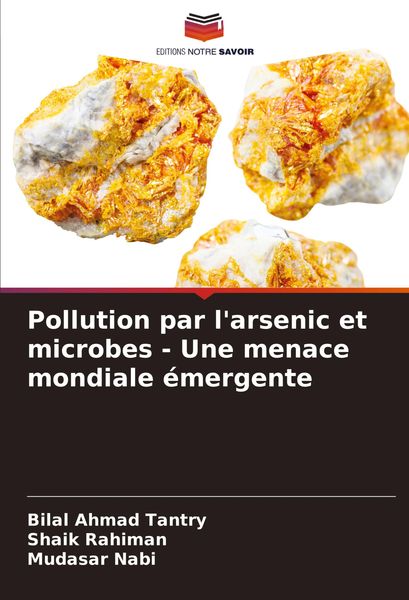 Produktbild: Pollution par l'arsenic et microbes - Une menace mondiale &eacute;mergente