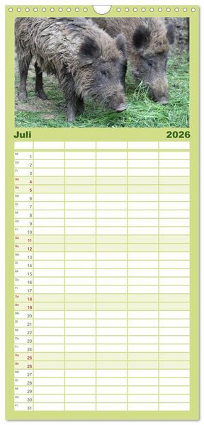 Produktbild: Familienplaner 2026 - Schweinkram - Die Wildschweine sind los mit 5 Spalten (Wandkalender, 21 x 45 cm) CALVENDO