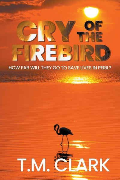 Produktbild: Cry of the Firebird