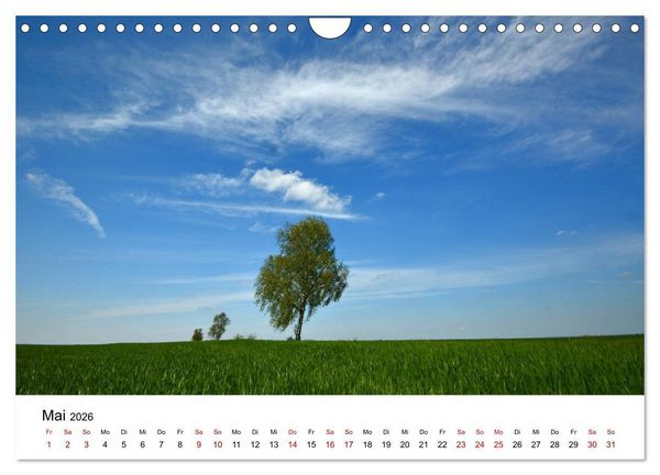Produktbild: Tollense Landschaften (Wandkalender 2026 DIN A4 quer), CALVENDO Monatskalender