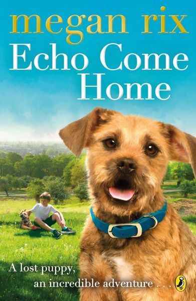 Produktbild: Echo Come Home