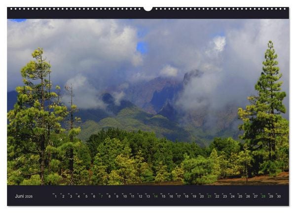 Produktbild: wildes La Palma (Wandkalender 2026 DIN A2 quer), CALVENDO Monatskalender