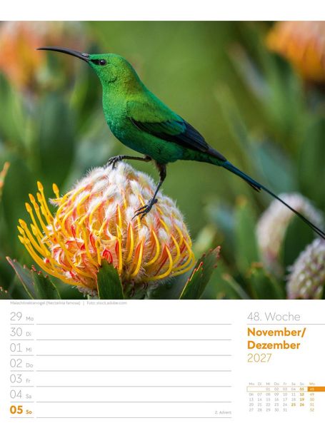 Produktbild: V&ouml;gel Wochenplaner Kalender 2027
