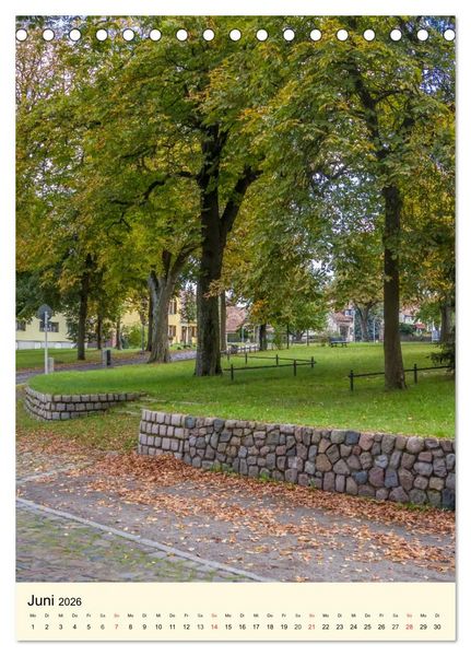 Produktbild: BERLIN L&Uuml;BARS jwd (Tischkalender 2026 DIN A5 hoch), CALVENDO Monatskalender