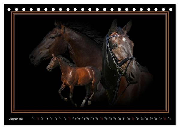 Produktbild: Traumpferde-ART-Collection (Tischkalender 2026 DIN A5 quer), CALVENDO Monatskalender