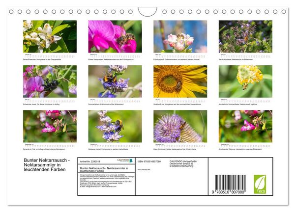 Produktbild: Bunter Nektarrausch - Nektarsammler in leuchtenden Farben (Wandkalender 2027 DIN A4 quer), CALVENDO Monatskalender