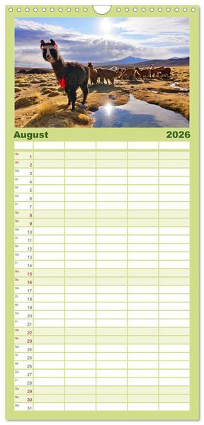 Produktbild: Familienplaner 2026 - Entdecke Bolivien mit 5 Spalten (Wandkalender, 21 x 45 cm) CALVENDO