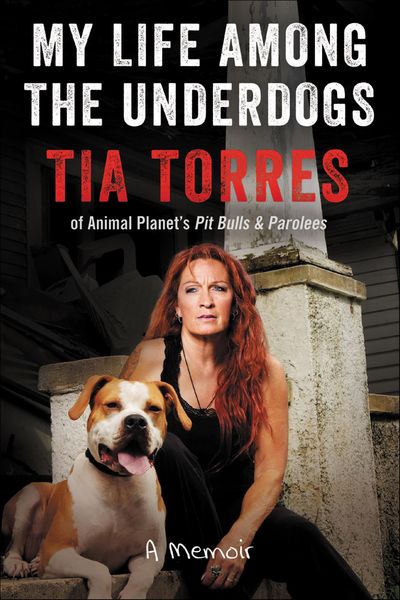 Produktbild: My Life Among the Underdogs