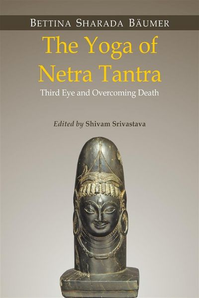 Produktbild: The Yoga of Netra Tantra