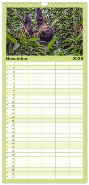 Produktbild: Familienplaner 2026 - Abh&auml;ngen - Faultier mit 5 Spalten (Wandkalender, 21 x 45 cm) CALVENDO