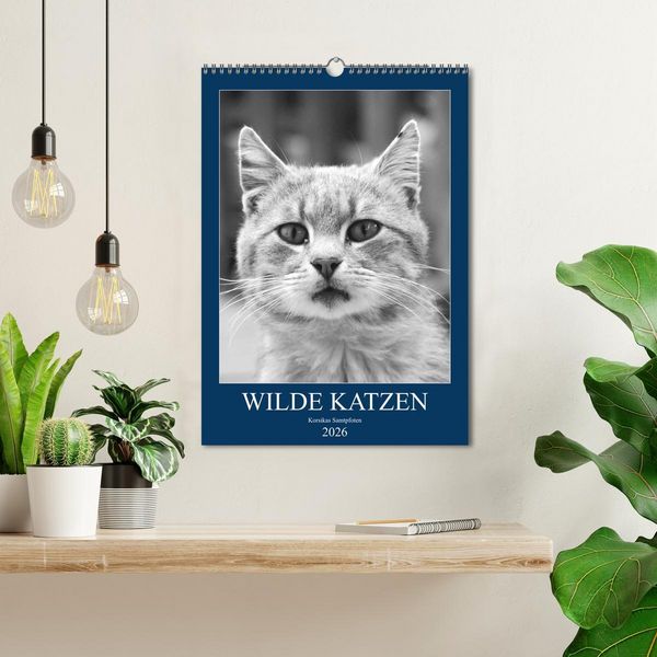 Produktbild: Wilde Katzen - Korsikas Samtpfoten (Wandkalender 2026 DIN A3 hoch), CALVENDO Monatskalender
