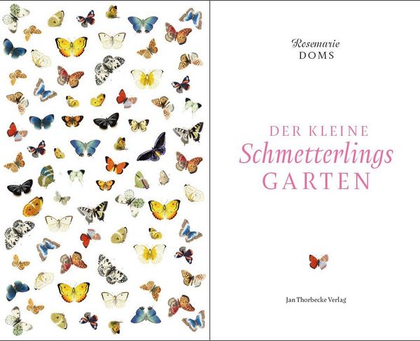 Produktbild: Der kleine Schmetterlingsgarten