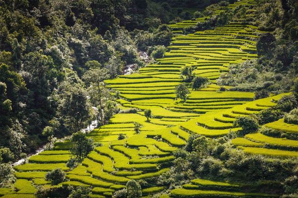 Produktbild: Mahendra Highway