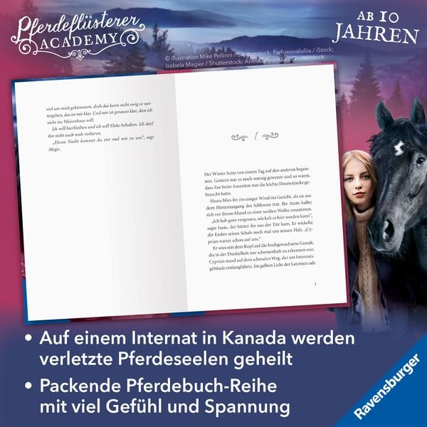 Produktbild: Pferdefl&uuml;sterer-Academy, Band 13 - Taminos Entf&uuml;hrung