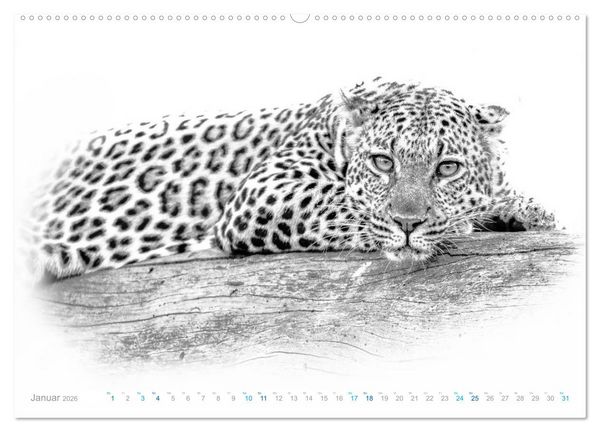 Produktbild: AFRIKA - Schwarz-weiss Fotografien im modernen "High Key" Look (Wandkalender 2026 DIN A2 quer), CALVENDO Monatskalender
