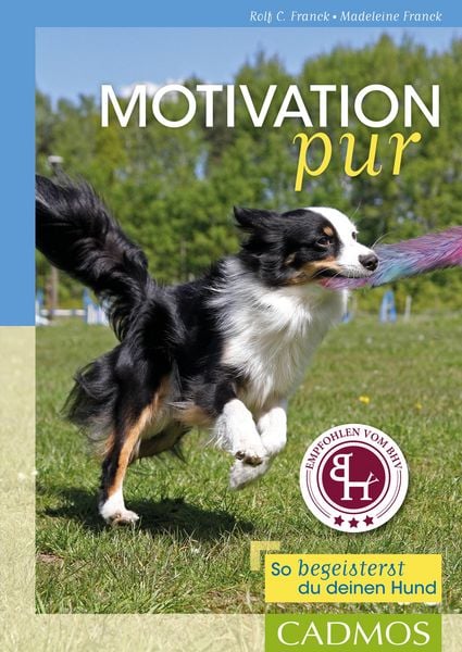 Produktbild: Motivation pur