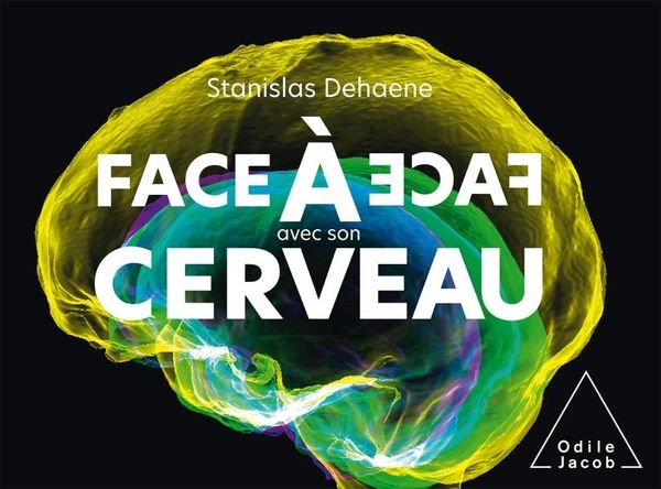 Produktbild: Face &agrave; face avec son cerveau