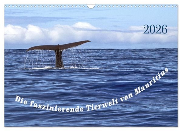 Produktbild: Faszinierende Tierwelt von Mauritius - Magische Momente der Natur (Wandkalender 2026 DIN A3 quer), CALVENDO Monatskalender