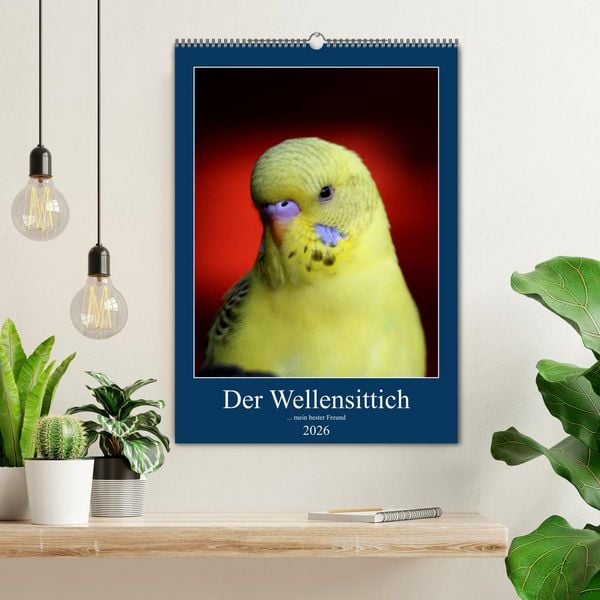 Produktbild: Der Wellensittich - mein bester Freund (Wandkalender 2026 DIN A2 hoch), CALVENDO Monatskalender