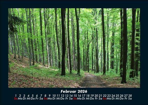 Produktbild: Waldzauber 2026 Fotokalender DIN A5