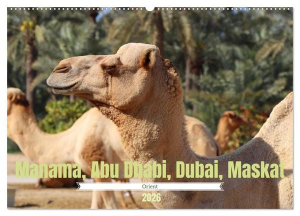 Produktbild: Orient - Manama, Abu Dhabi, Dubai, Maskat (Wandkalender 2026 DIN A2 quer), CALVENDO Monatskalender