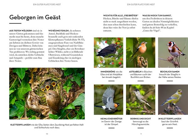 Produktbild: Mach was f&uuml;r V&ouml;gel