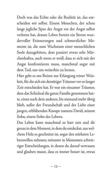 Produktbild: Das Licht auf der anderen Seite des Flusses