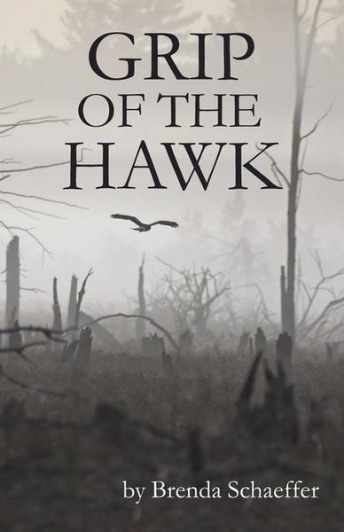 Produktbild: Grip Of The Hawk