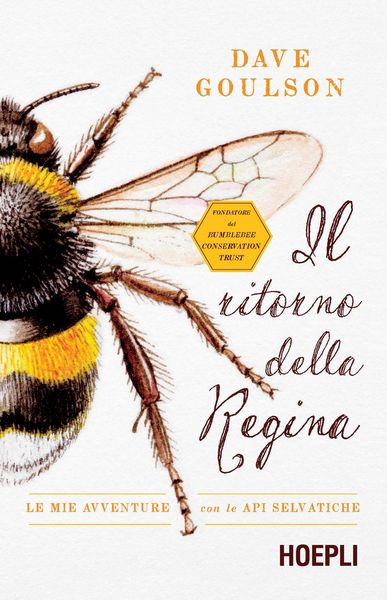 Produktbild: Il ritorno della regina. Le mie avventure con le api selvatiche