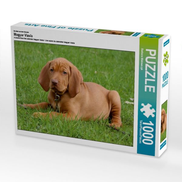 Produktbild: CALVENDO Puzzle Ein Motiv aus dem Kalender Magyar Vizsla | 1000 Teile Lege-Gr&ouml;&szlig;e 64x48cm Foto-Puzzle f&uuml;r gl&uuml;ckliche Stunden