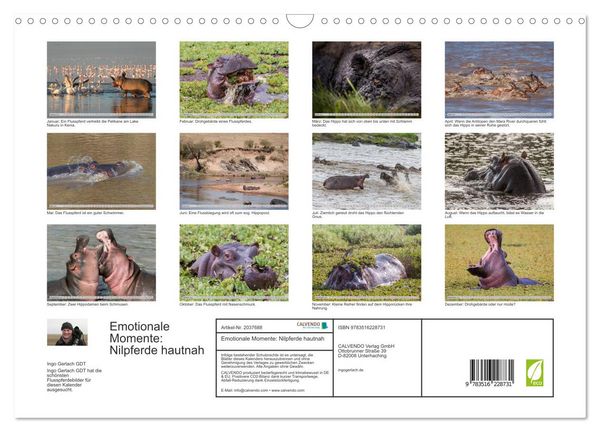 Produktbild: Emotionale Momente: Nilpferde hautnah (Wandkalender 2026 DIN A3 quer), CALVENDO Monatskalender