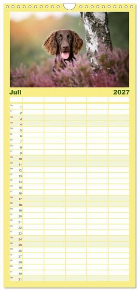 Produktbild: Familienplaner 2027 - Passion Jagdhund - Deutsch Langhaar mit 5 Spalten (Wandkalender, 21 x 45 cm) CALVENDO