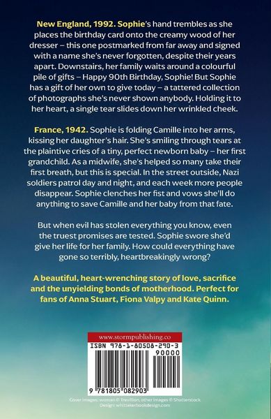 Produktbild: The Midwife's Promise