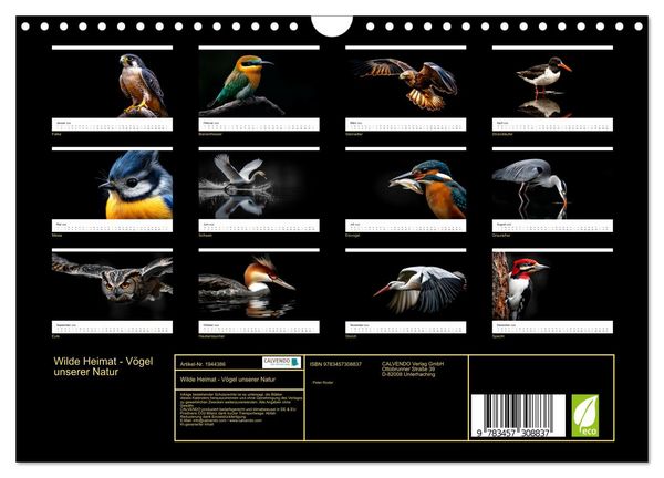 Produktbild: Wilde Heimat - V&ouml;gel unserer Natur (Wandkalender 2026 DIN A4 quer), CALVENDO Monatskalender