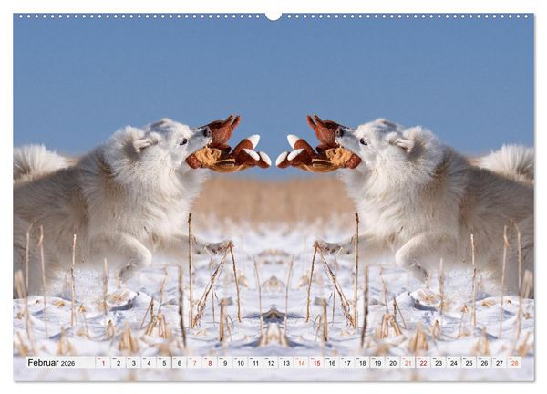 Produktbild: Mit doppelter Power durch das Jahr (hochwertiger Premium Wandkalender 2026 DIN A2 quer), Kunstdruck in Hochglanz
