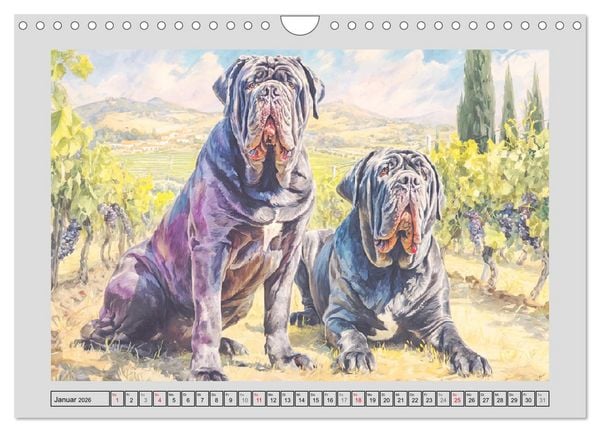 Produktbild: Mastino Napoletano. Die wuchtigen Molosser im Painting-Stil (Wandkalender 2026 DIN A4 quer), CALVENDO Monatskalender