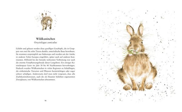 Produktbild: Tierleben &ndash; Auf der Wiese, im Wald und am Wasser